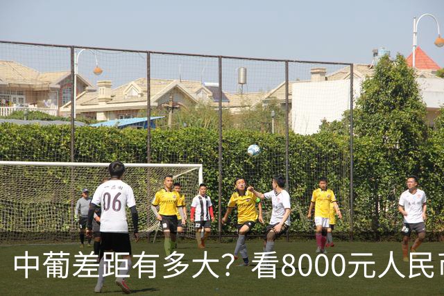 中葡差距有多大？看8000元人民币，在葡萄牙能享受几天就明白了！