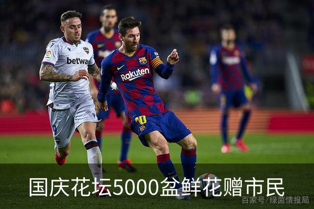 国庆花坛5000盆鲜花赠市民