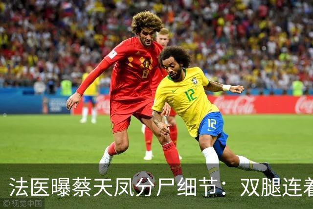 法医曝蔡天凤分尸细节：双腿连着盆骨在冰柜里，骨上带肉，太残忍