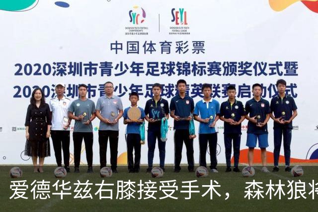 爱德华兹右膝接受手术，森林狼将一次性解决膝伤，预计休战2个月