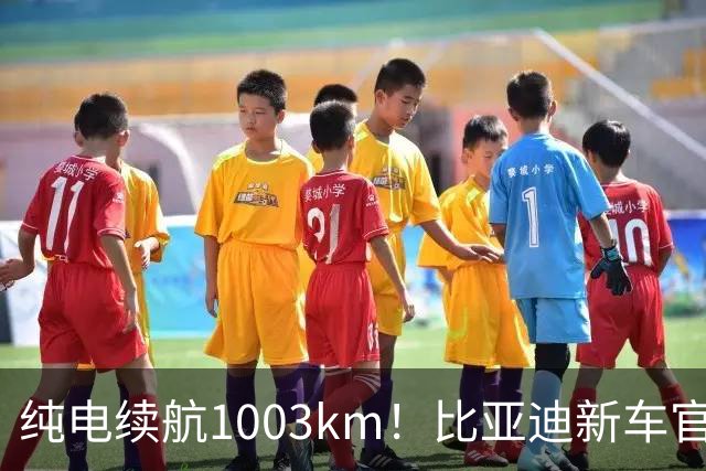 纯电续航1003km！比亚迪新车官宣：搭载130度超大电池，10月22日即将上市