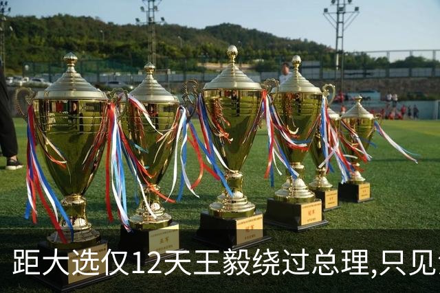 距大选仅12天王毅绕过总理,只见没实权的总统,这盘棋很深