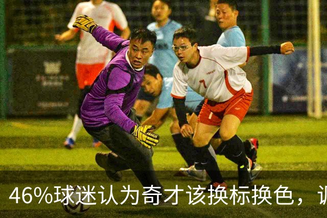 46%球迷认为奇才该换标换色，调查结果出炉